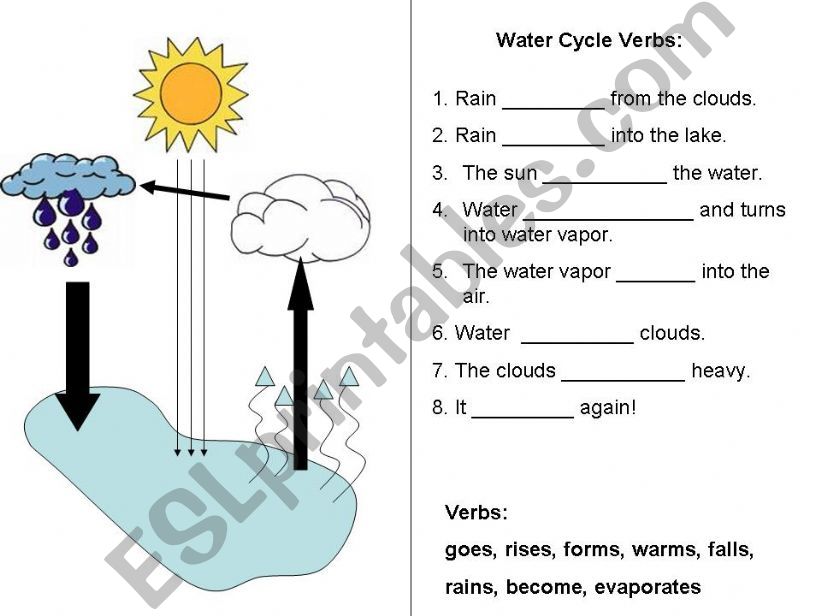 Water cycle worksheet. Present Tense Verbs.