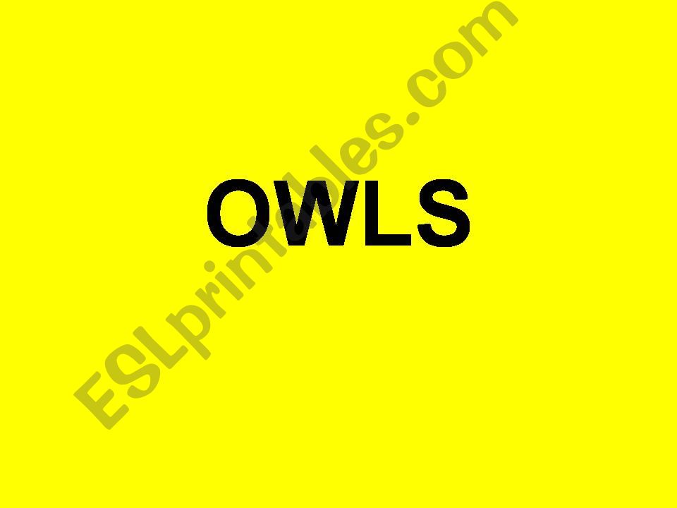 Owls powerpoint