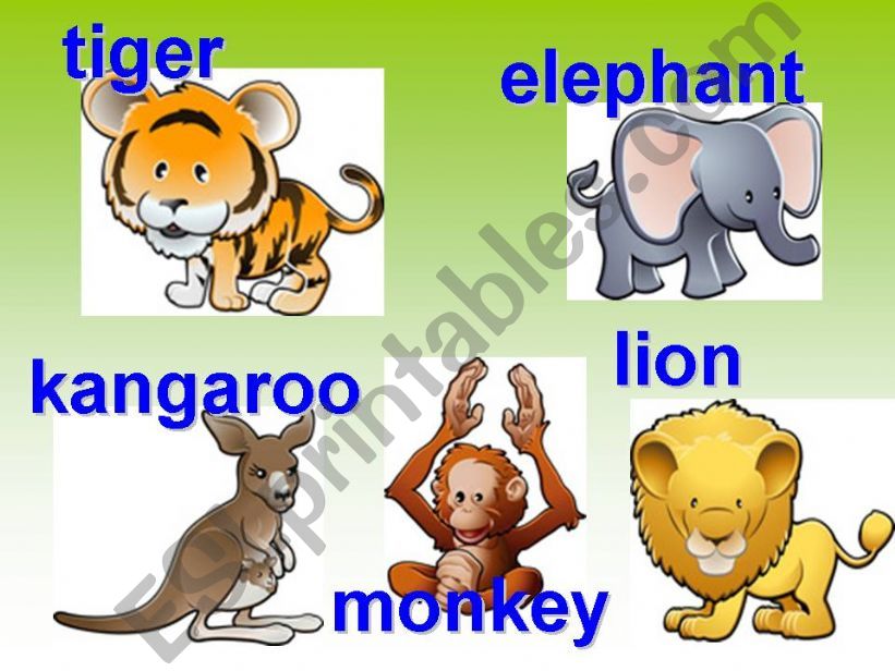 school trip - animals powerpoint