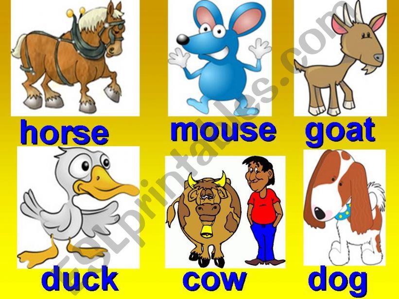 School trip: animals powerpoint