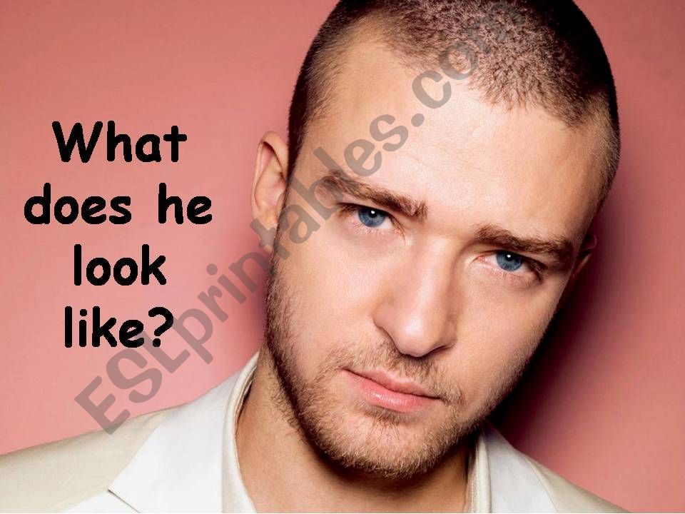 What does he/she like? powerpoint