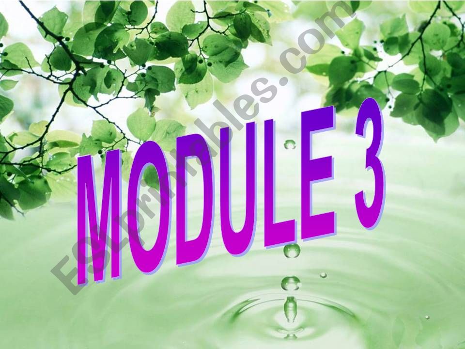 MODULE 3 powerpoint