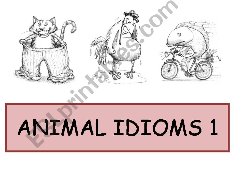 Animal Idioms 1 powerpoint