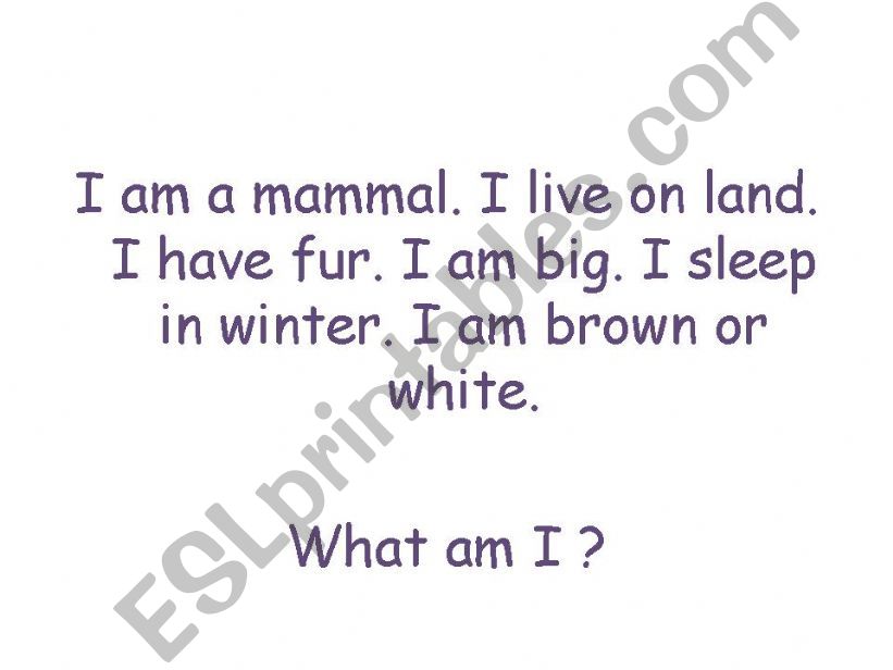 animal quiz2 powerpoint