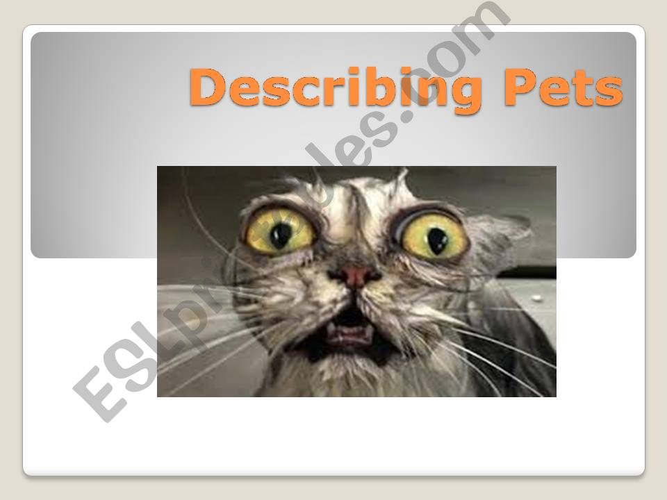 DESCRIBING PETS powerpoint