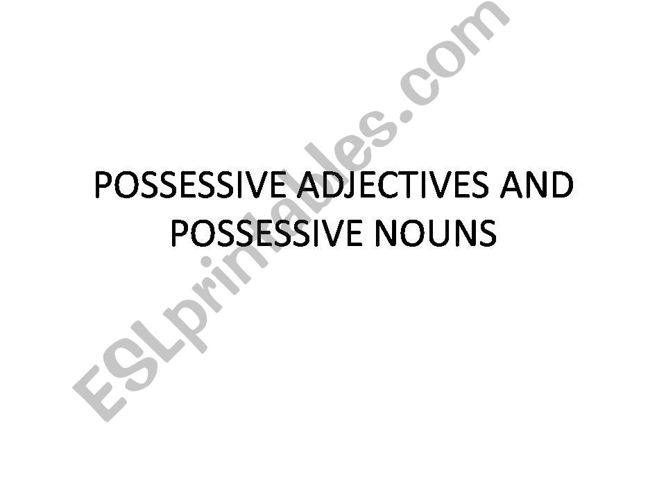 possessive adjectives and possessive nouns