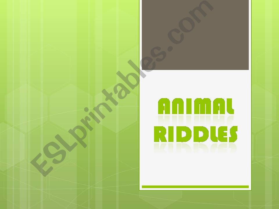 Animal riddles powerpoint