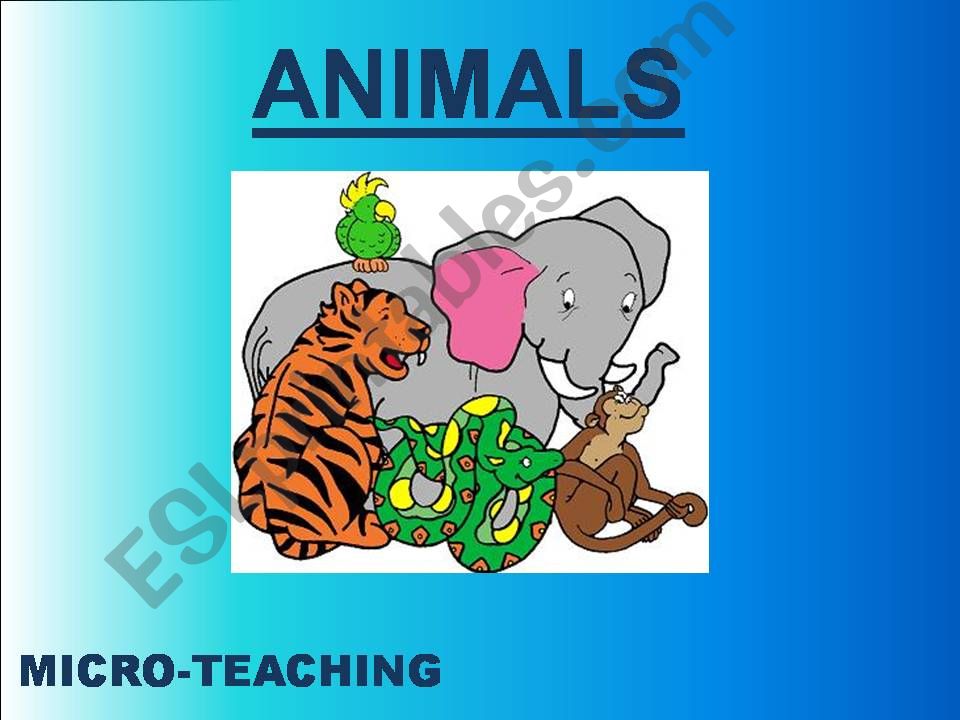 Microteaching Animals powerpoint