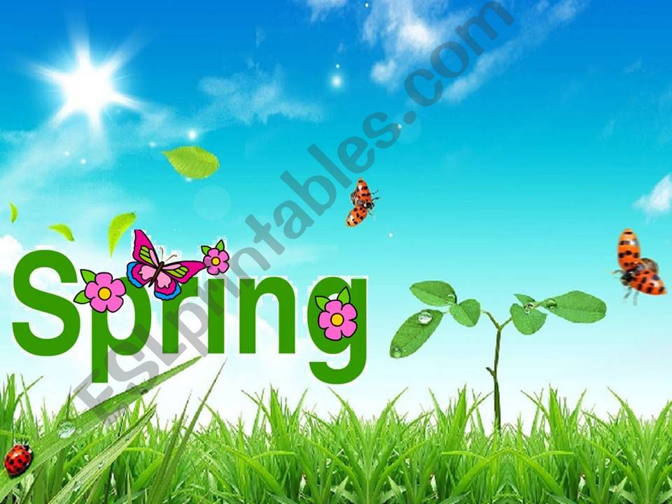 Spring Vocabulary powerpoint