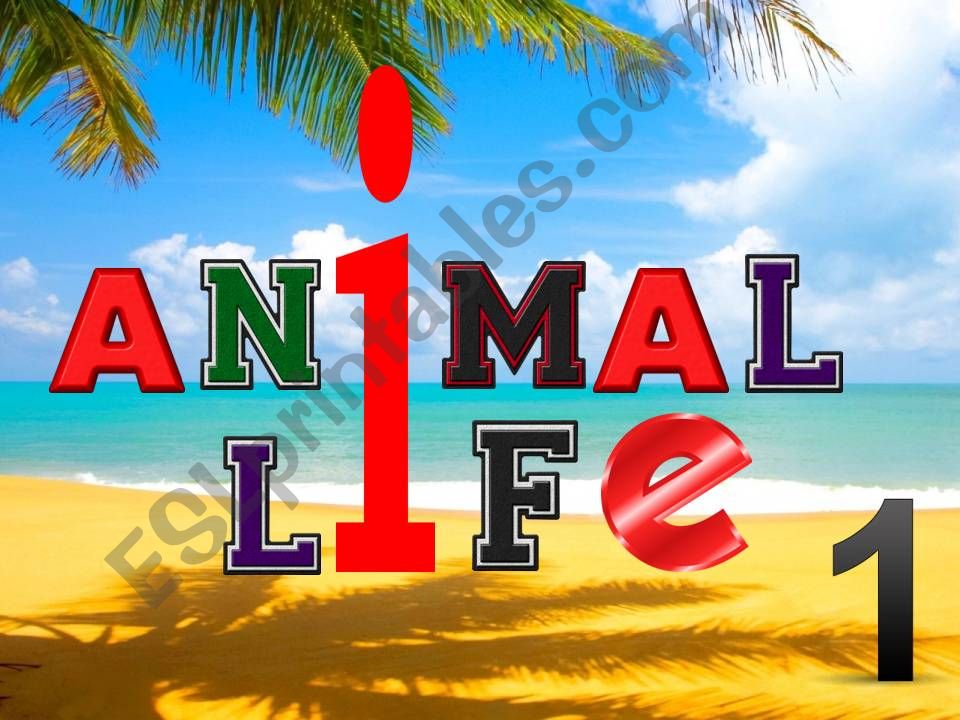 Animal life 1 powerpoint