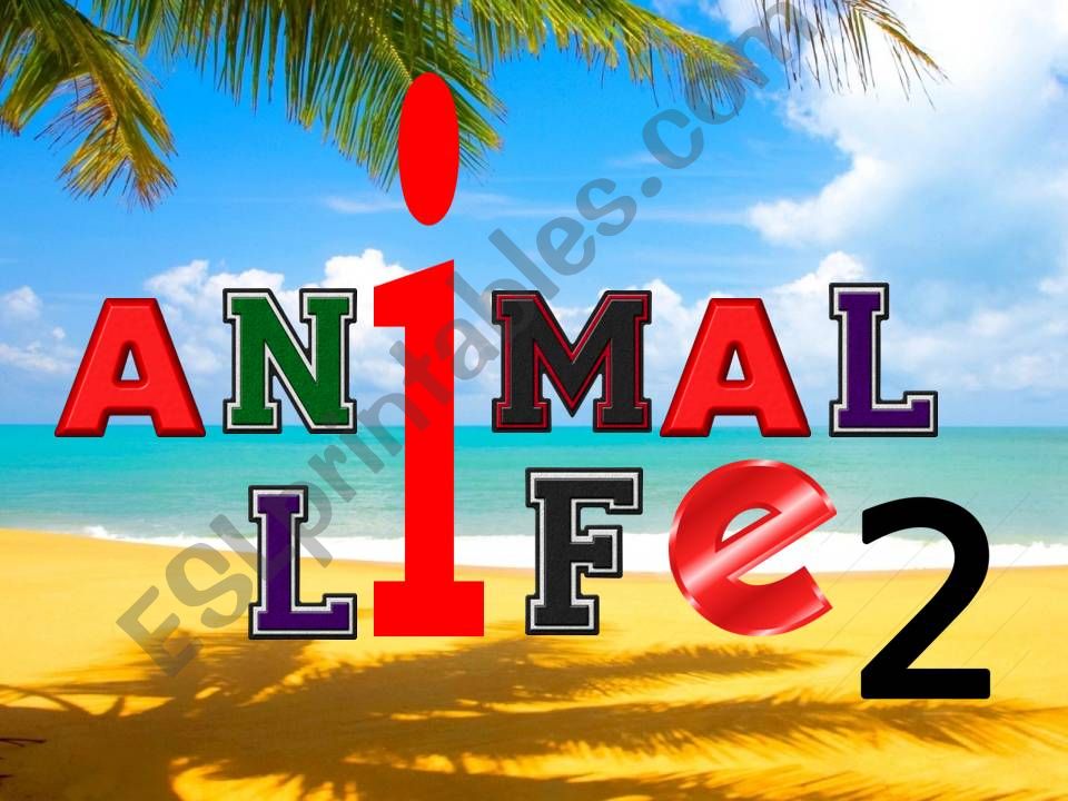 Animal life 2 powerpoint