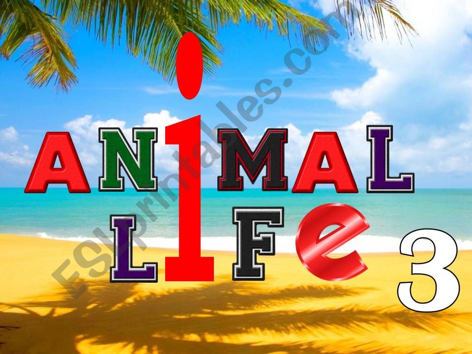Animal life 3 powerpoint