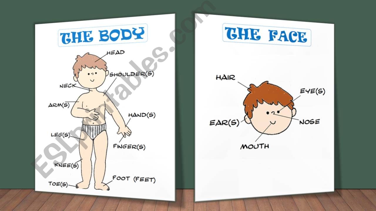 Body parts powerpoint