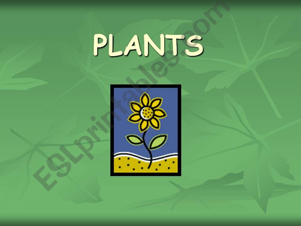 WHAT PLANTS NEED TO GROW powerpoint