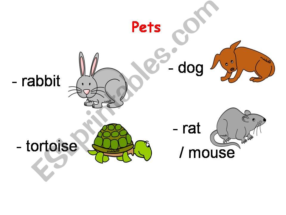 name pets powerpoint