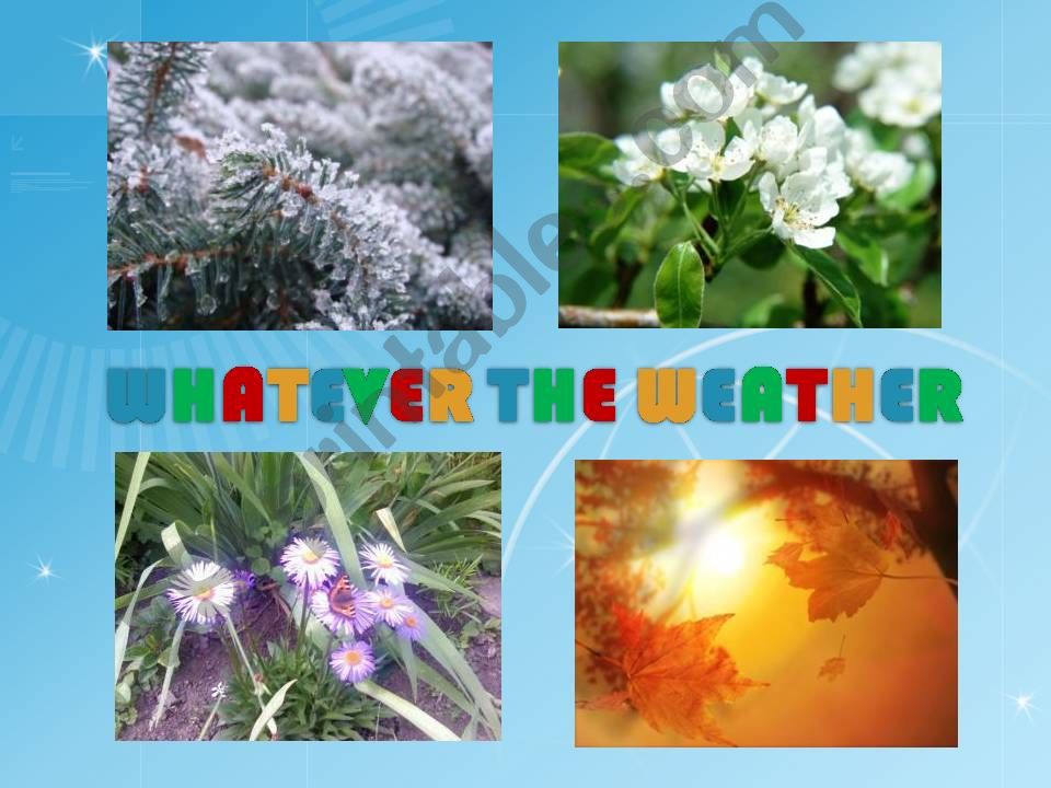 Weather and seasons powerpoint