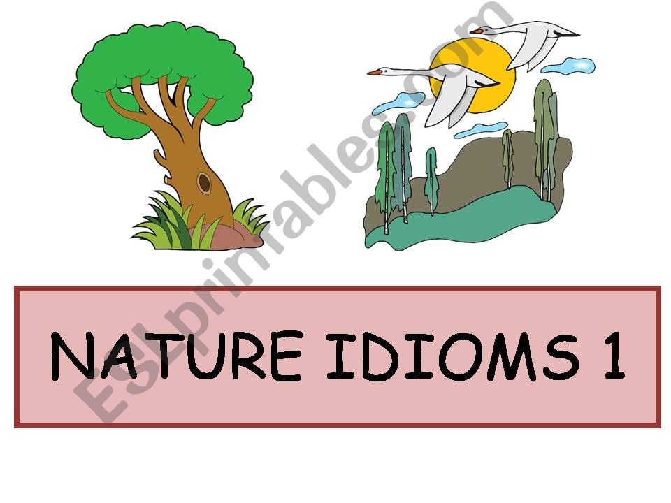 Nature Idioms 1 powerpoint