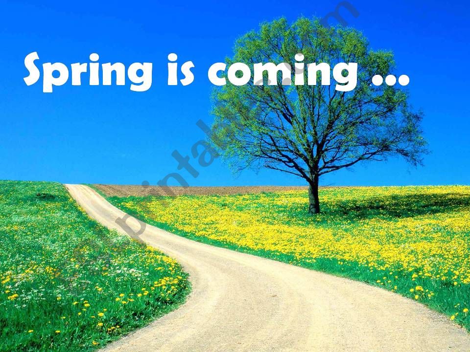 What can you do in spring? powerpoint