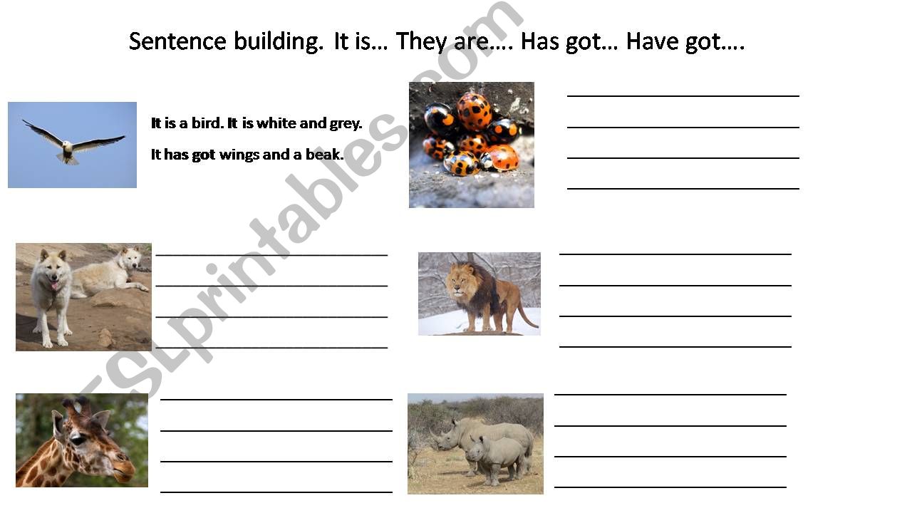 Sentence Building powerpoint