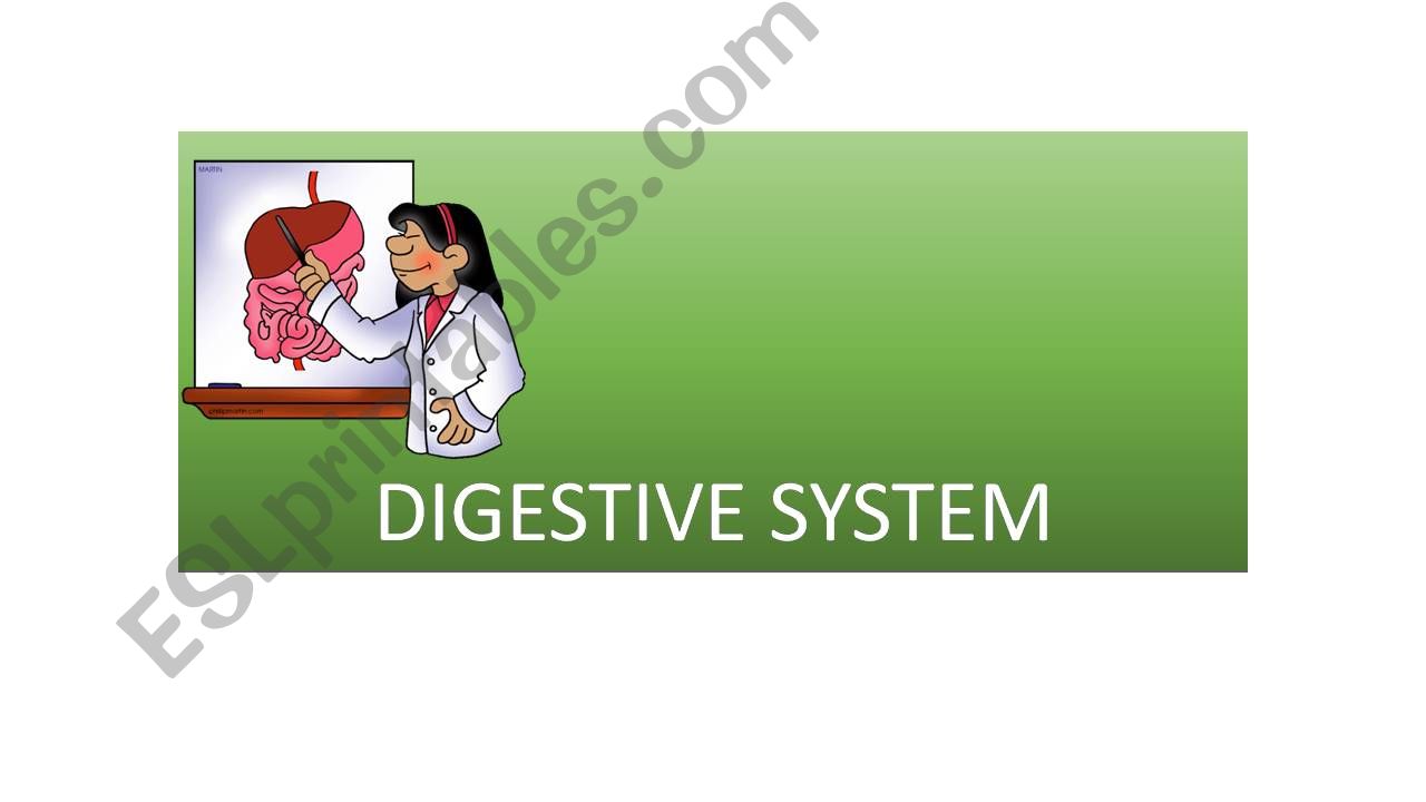 Digestive System powerpoint