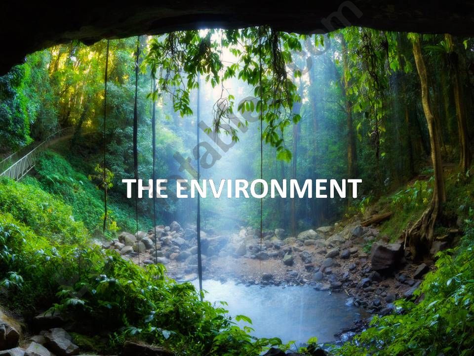 environment  an d  related problems
