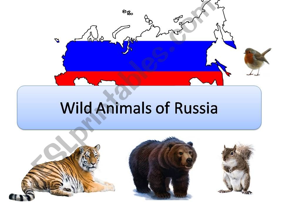 Wild animals of Russia powerpoint