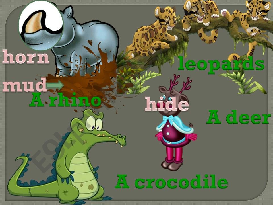 Amazing creatures2 powerpoint