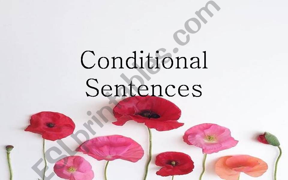 conditional sentence  powerpoint