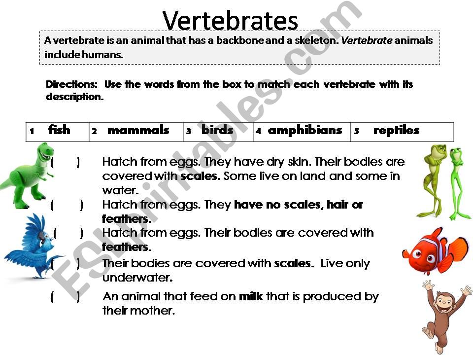 Vertebrates powerpoint