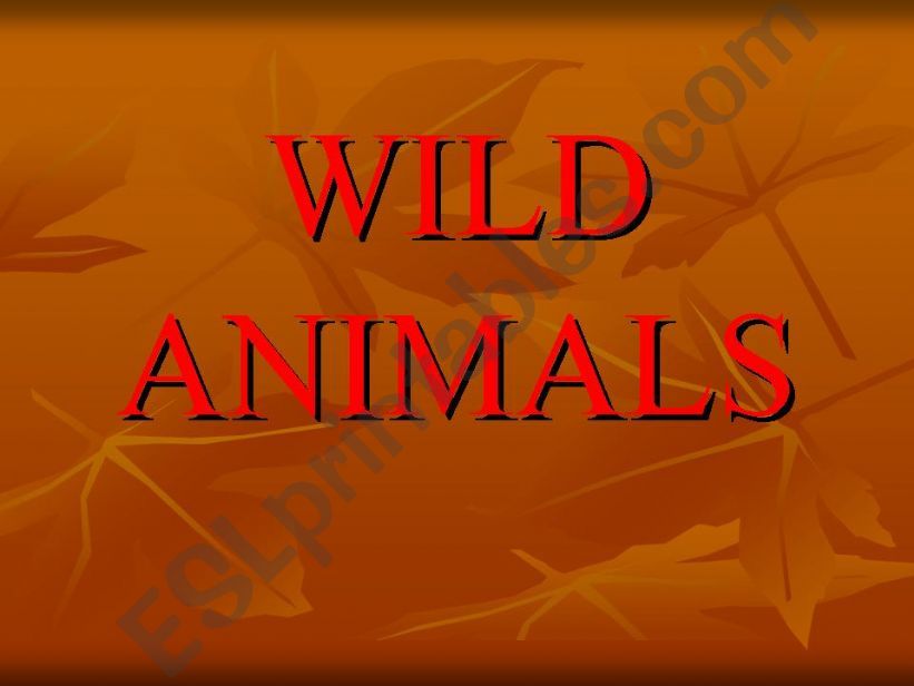 wild animals powerpoint