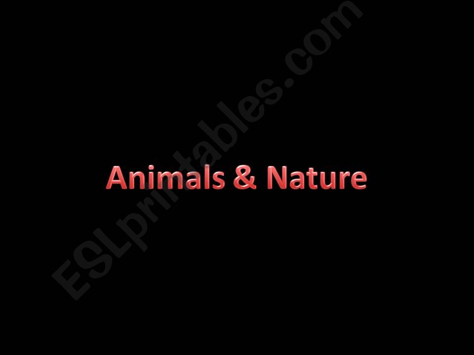 Animal Quiz powerpoint