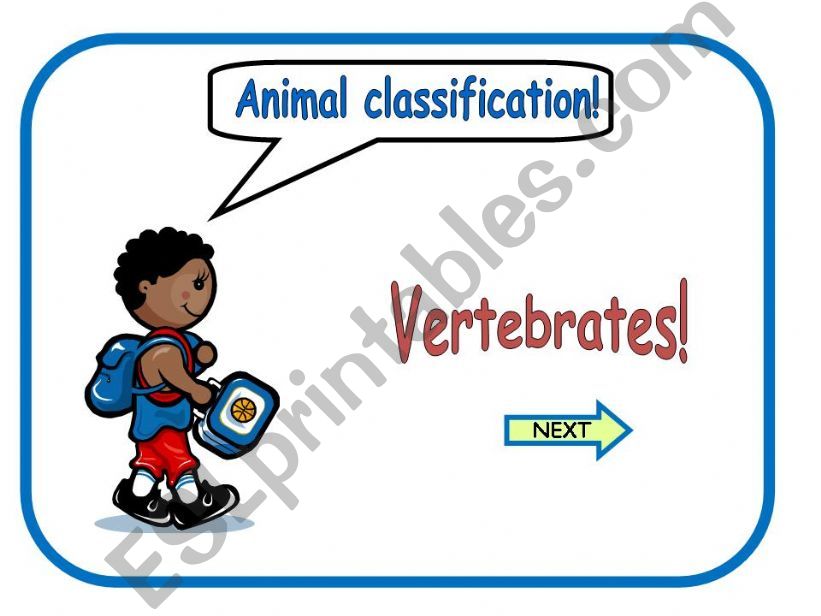 Animal classification - vertebrates