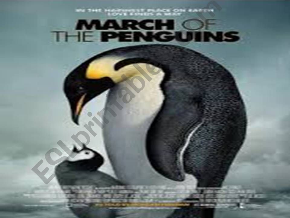 films powerpoint