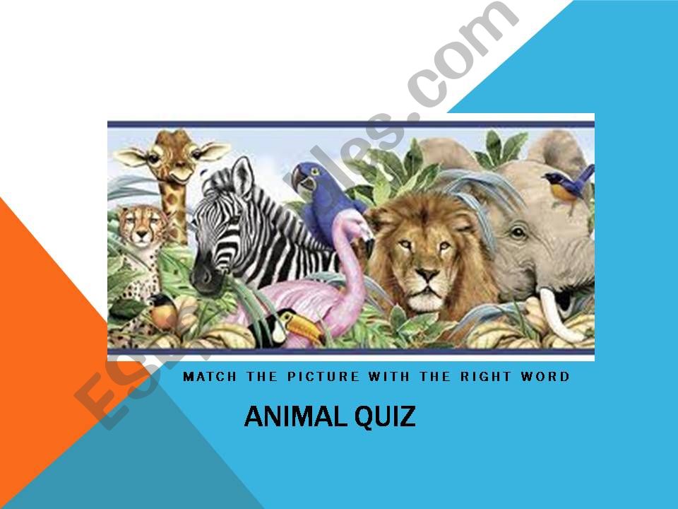 animals powerpoint