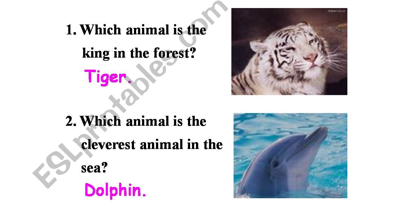 Which kind of animal it is powerpoint