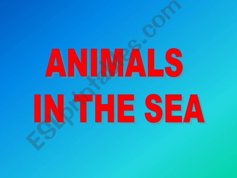 ANIMALS IN THE SEA powerpoint
