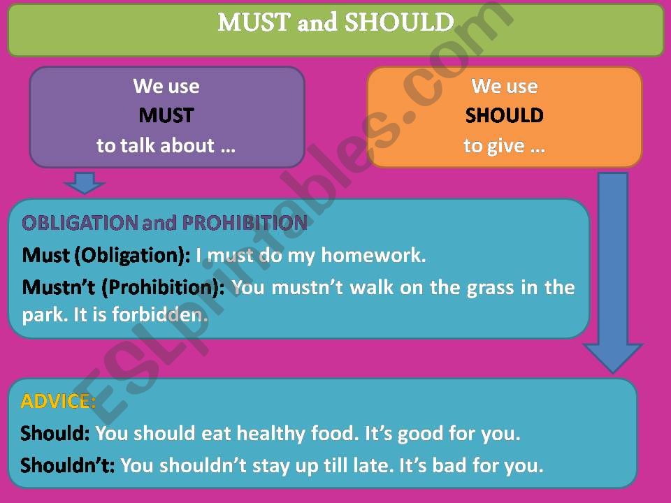 Modal Verbs: must, should, have to