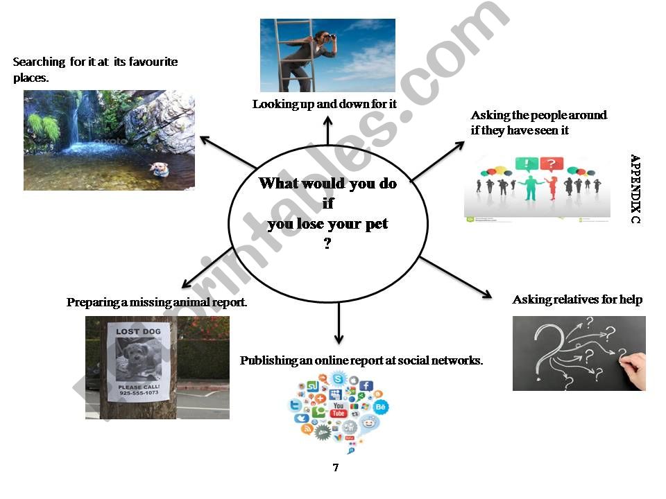 Mind Map about missing pet  powerpoint
