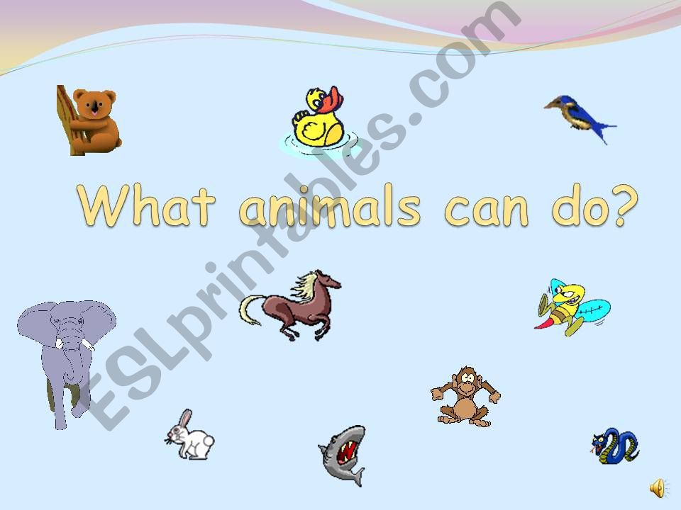 What animals can do? powerpoint