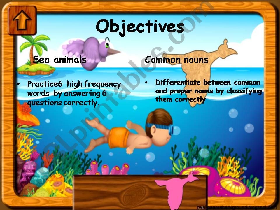 sea animals and proper noubs  powerpoint