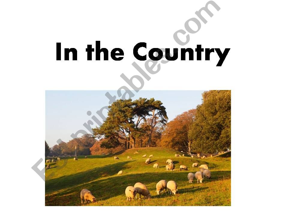 In the Country powerpoint