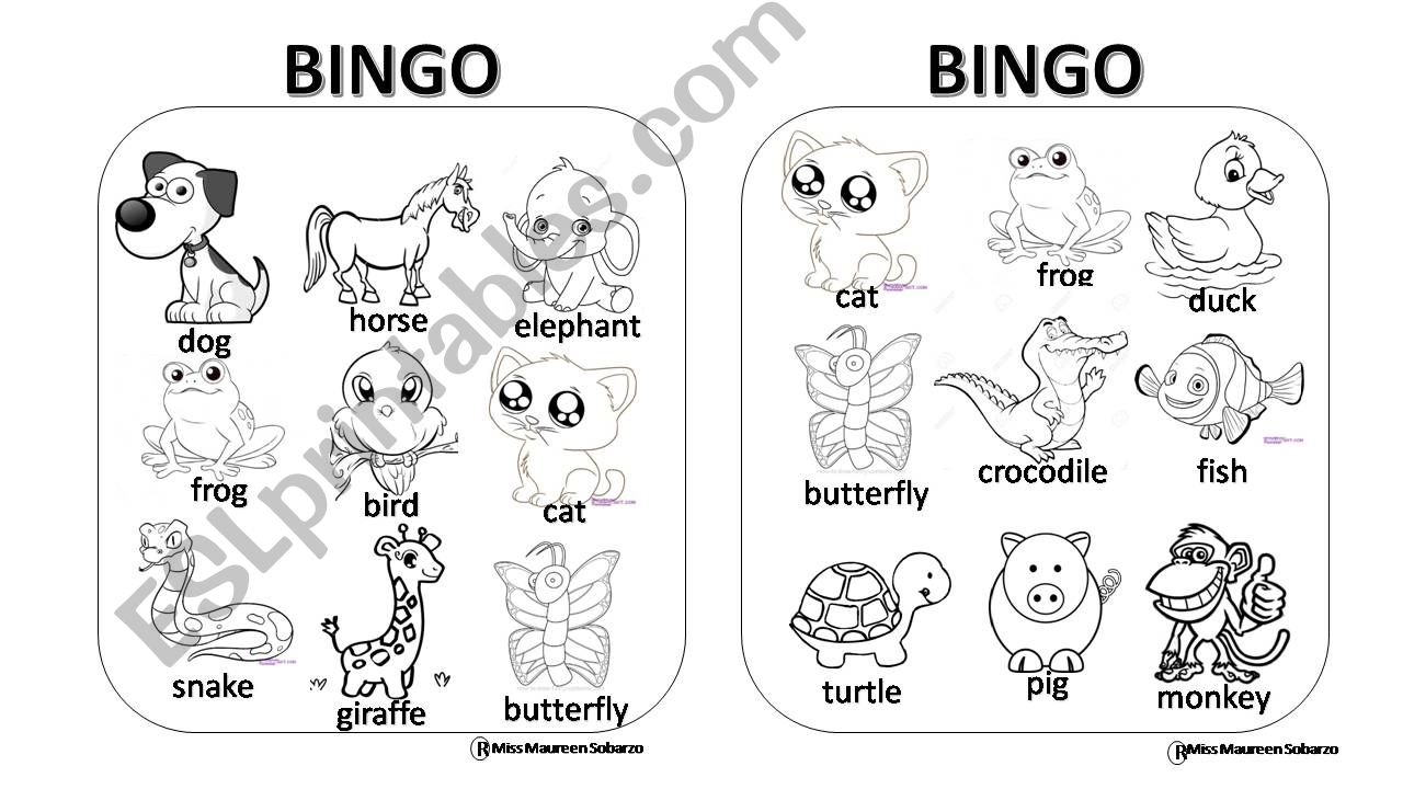 Bingo (animals) powerpoint