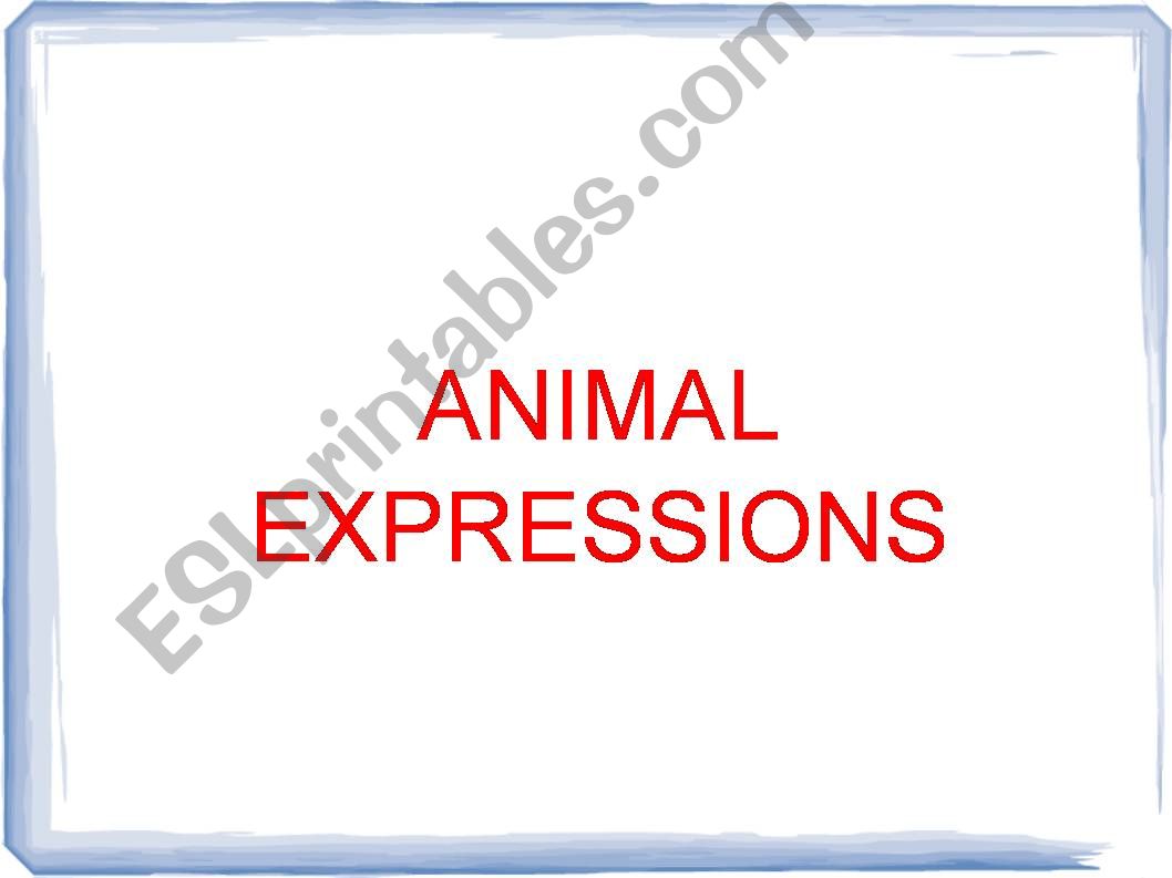 Animal Expressions powerpoint