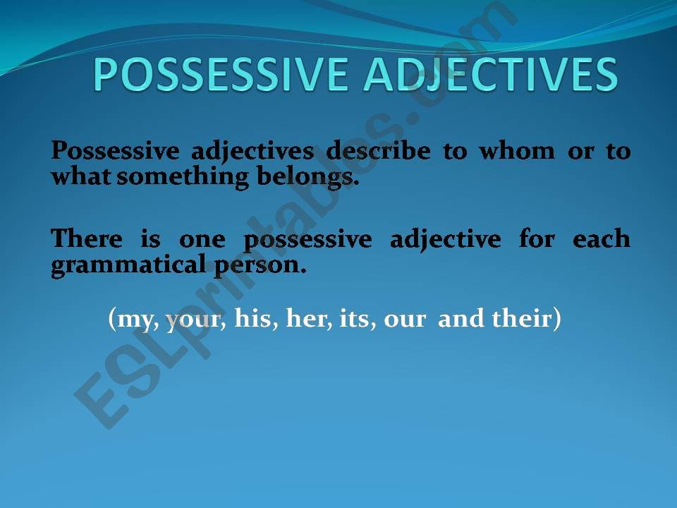 possessive adjectives powerpoint