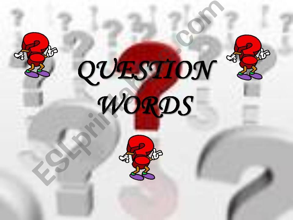 Question Words  powerpoint