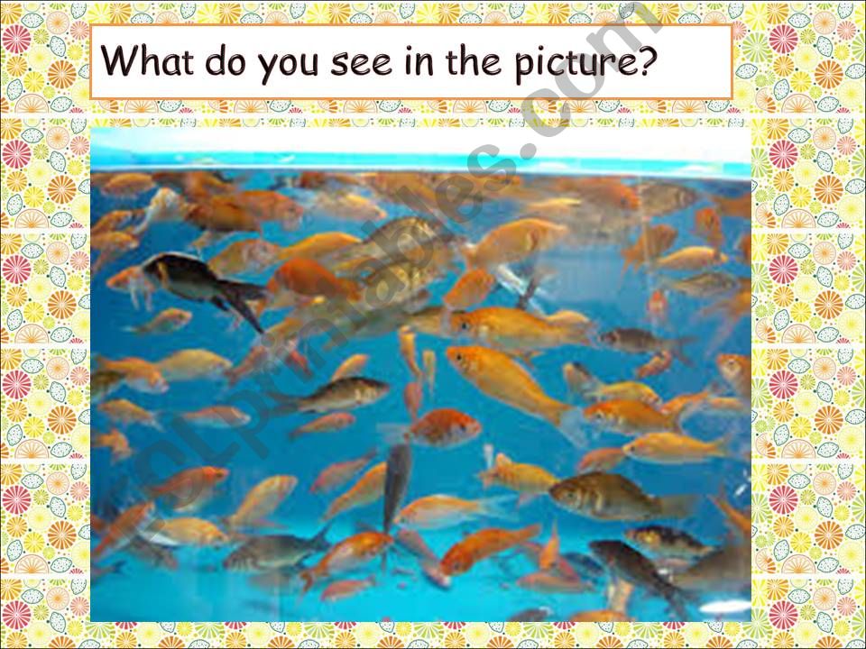story: The Big Fish powerpoint