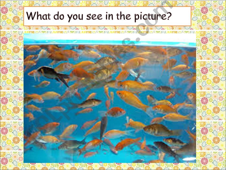 story: The Big Fish powerpoint