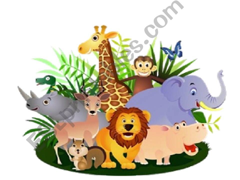 Animals powerpoint