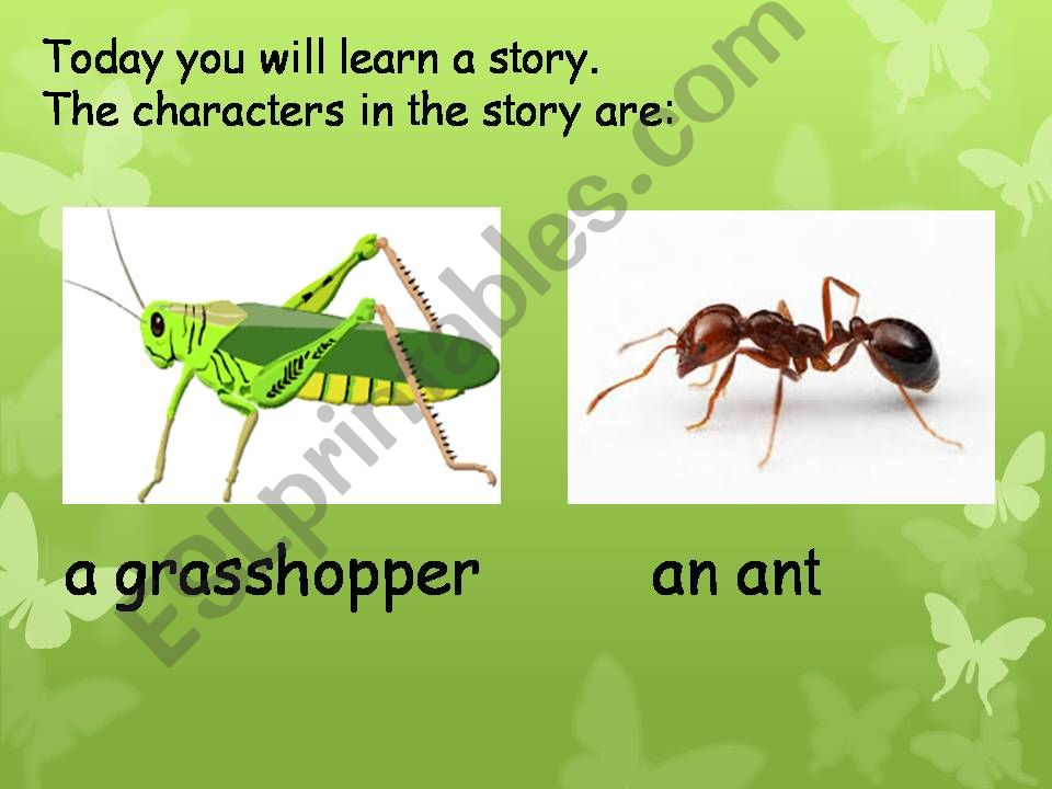 The Ant and the Grasshopper powerpoint
