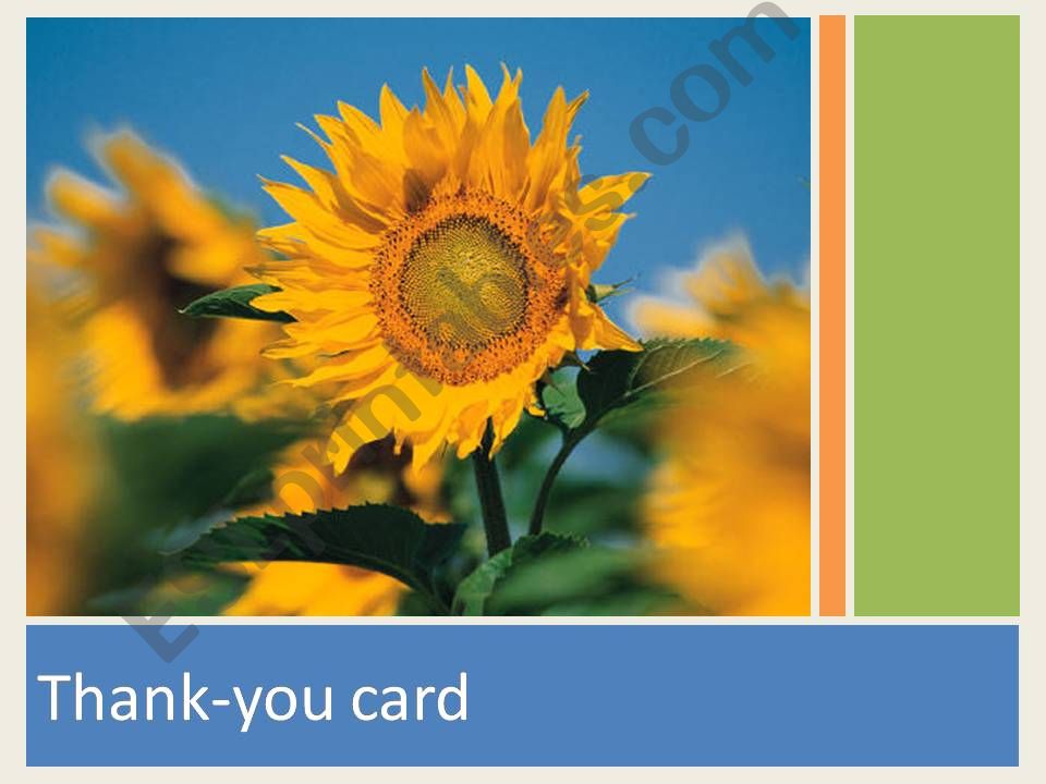 How to write a thank-you card powerpoint